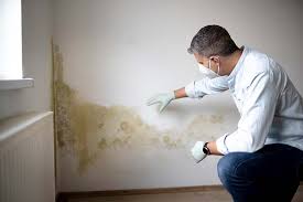 Best Mold Damage Restoration in West Bay Shore, NY